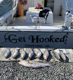 Striper Fishing Fun in Virginia